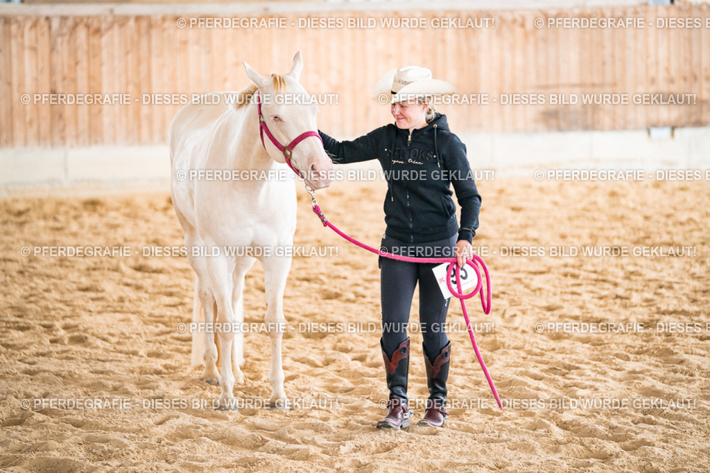 DSC01182 | Pferdegrafie