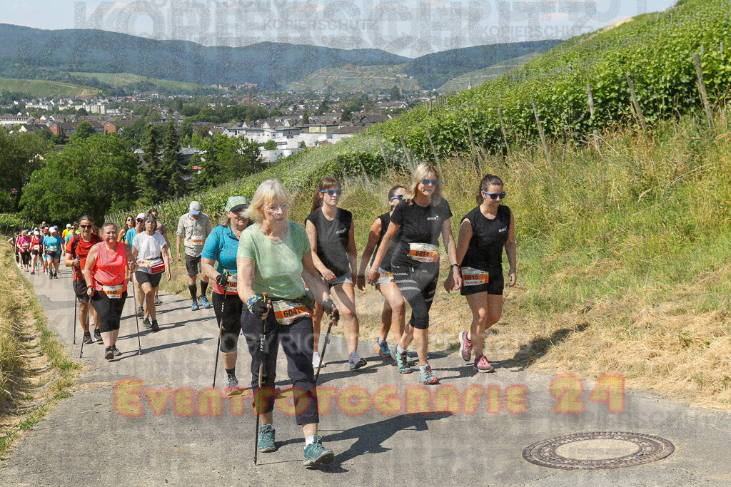 230617_1108_EV9_7675 | Sportfotografie im Rhein-Sieg Kreis, Köln, Bonn, NRW, Rheinland Pfalz, Hessen, etc. Unser Tätigkeitsfeld umfasst den Laufsport vom Volkslauf über den Marathon, Duathlon, Triathon bis zum Ultralauf wie Kölnpfad Ultra oder Schindertrail.