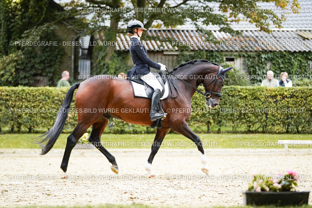 DSC01774 | Pferdegrafie