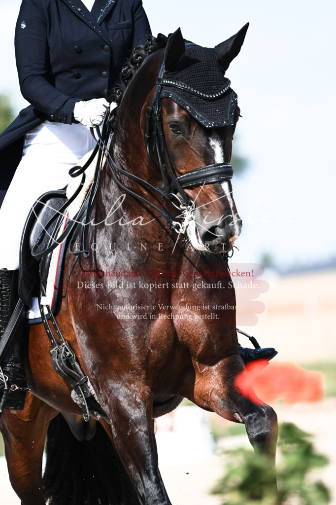 DSC_3380 | Pferde- und Turnierfotografie in Westsachsen. Pferdeportraits, Auftragszeichnungen und intuitive Kunst.