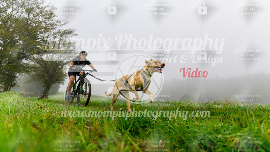 MompixPhotography_20TSB_E5_Bike-50 | PayLife