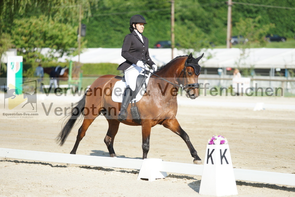 DSC04090 | equestrian-live-com