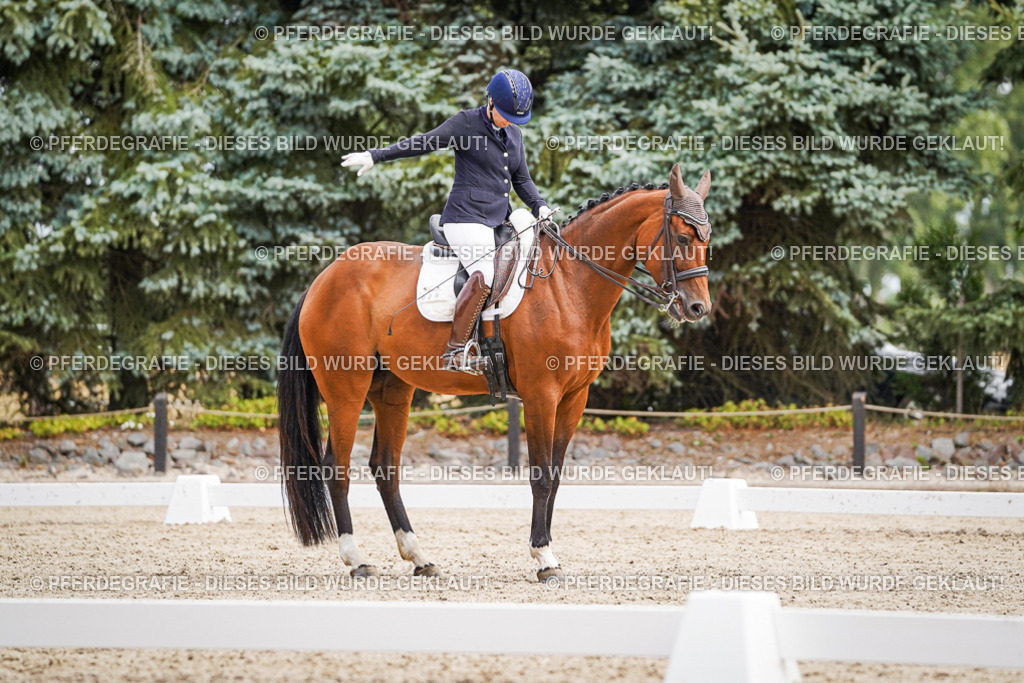 DSC03204 | Pferdegrafie