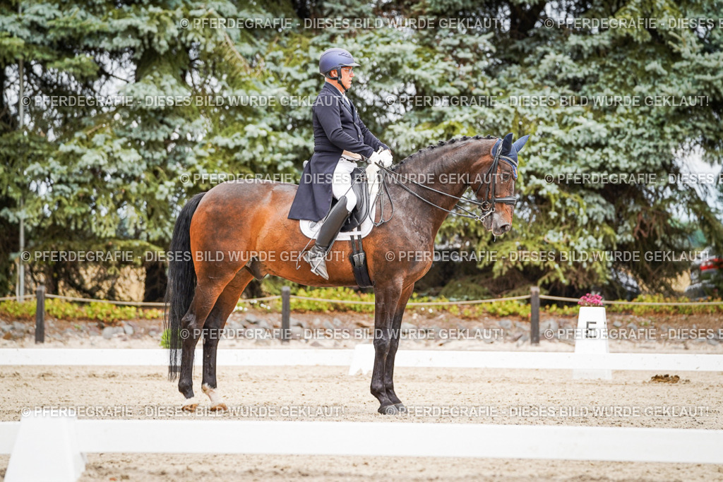 DSC04969 | Pferdegrafie