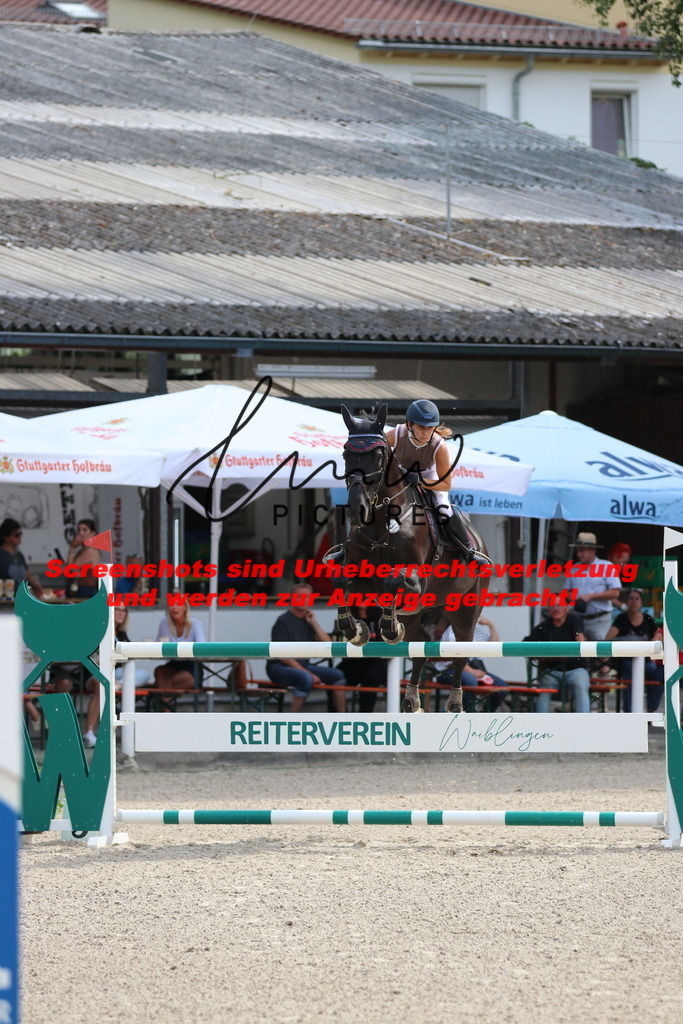 IMG_0594 | lmwpictures - Realisiert mit Pictrs.com