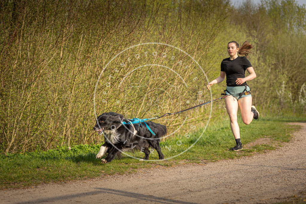 Pfotenfotografie_DV3A4659 | Hundefotografie, Tierfotograf, Pfotenfotografie, Fotoshooting Hund, Hunde Portrait, Hundesport, Hundeportraits, Heideshooting, Hunde, Sportfotograf, Hundefotograf, Turnierhundsport, THS,  - Realisiert mit Pictrs.com