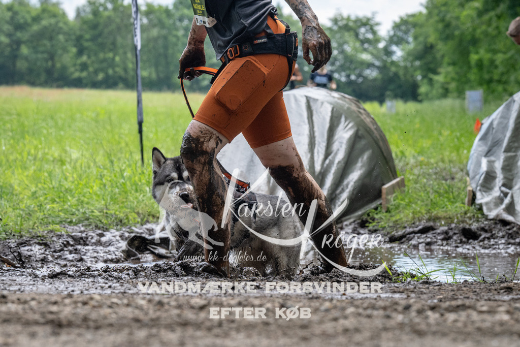 1105_ZZ91378 | kk-dogfotos