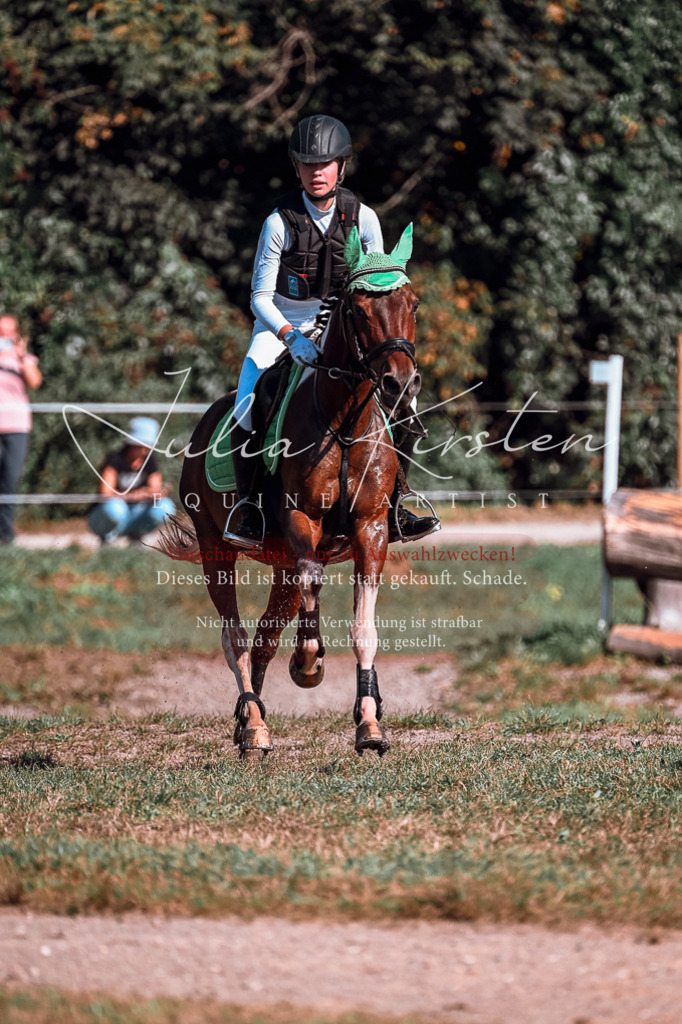DSC_0857 | Pferde- und Turnierfotografie in Westsachsen. Pferdeportraits, Auftragszeichnungen und intuitive Kunst.