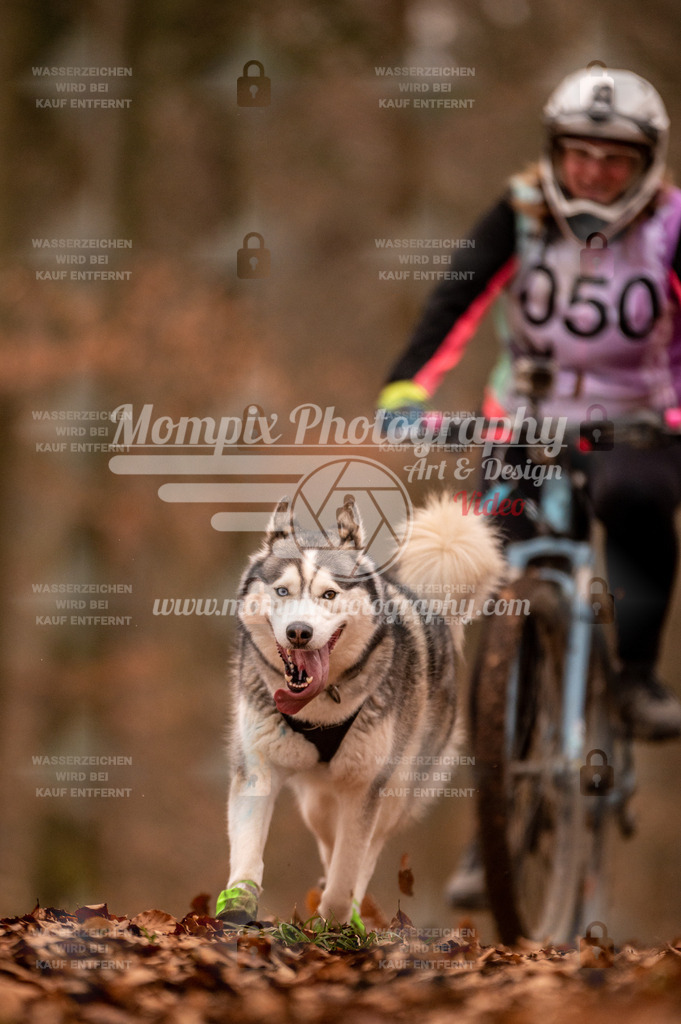 AKM_ST_2023_Son_Bike-6 | PayLife