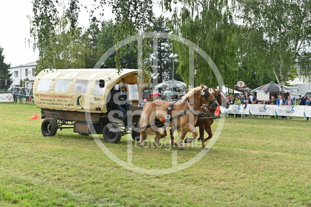 DSC_4551 | sattelsport - Realisiert mit Pictrs.com