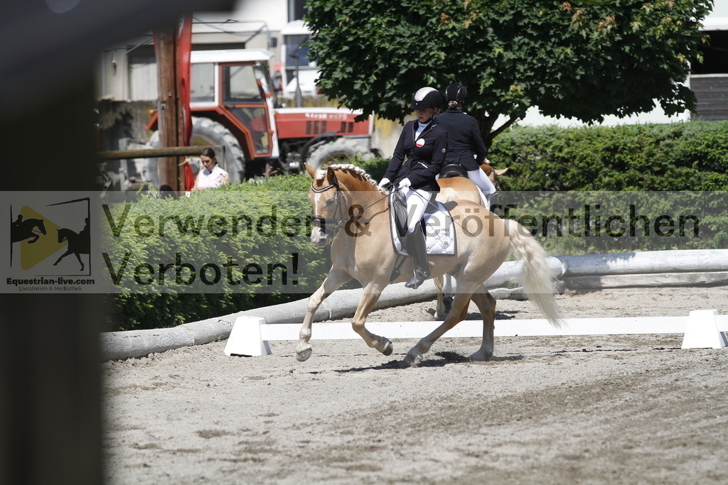 _MG_4028 | equestrian-live-com