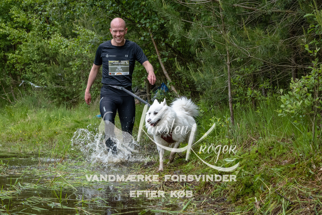 1106DKK994129 | kk-dogfotos
