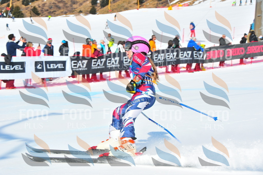 DSC_0605 | holidayphoto