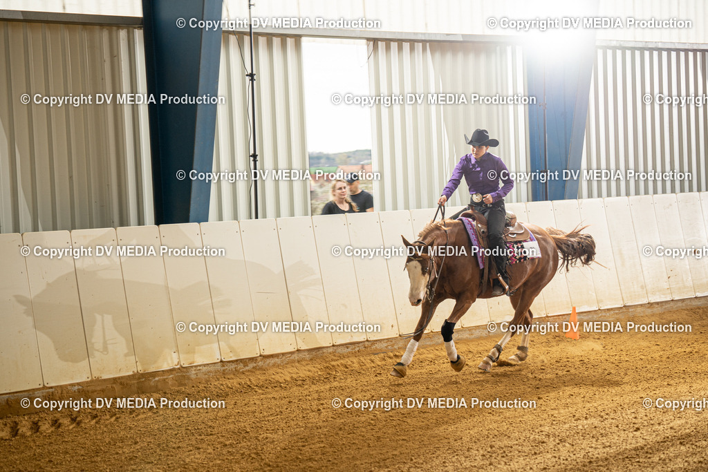 MIT00445 | dv-media-shop - Realisiert mit Pictrs.com