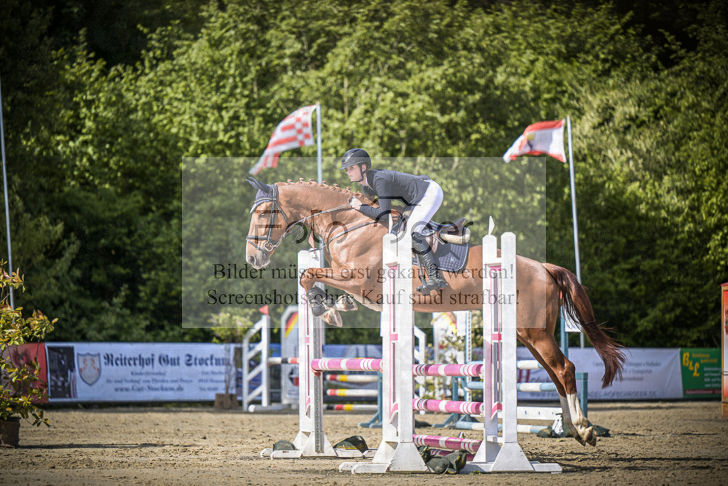DOS_8624 | Entdecke hochwertige Reitturnierfotos von Foto Oger. Professionell, emotional und authentisch – jetzt Lieblingsmomente im Shop bestellen.Deutschlandweite Turnierfotografie. - Realisiert mit Pictrs.com