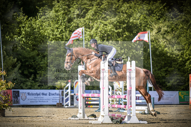 DOS_8624 | Entdecke hochwertige Reitturnierfotos von Foto Oger. Professionell, emotional und authentisch – jetzt Lieblingsmomente im Shop bestellen. - Realized with Pictrs.com