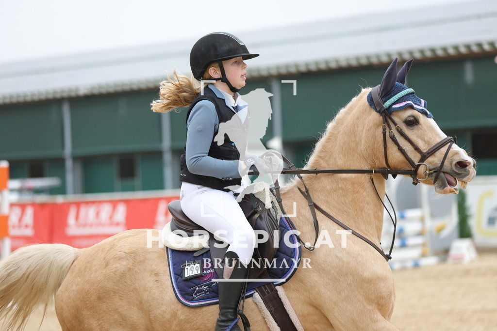 0P6A0902 | Willkommen bei Brunnmayr - Design & Fotografie – Ihrem Spezialisten für Reitturniere und Pferdeveranstaltungen in Oberösterreich, Salzburg und Bayern! Seit über 17 Jahren sind wir leidenschaftlich dabei.