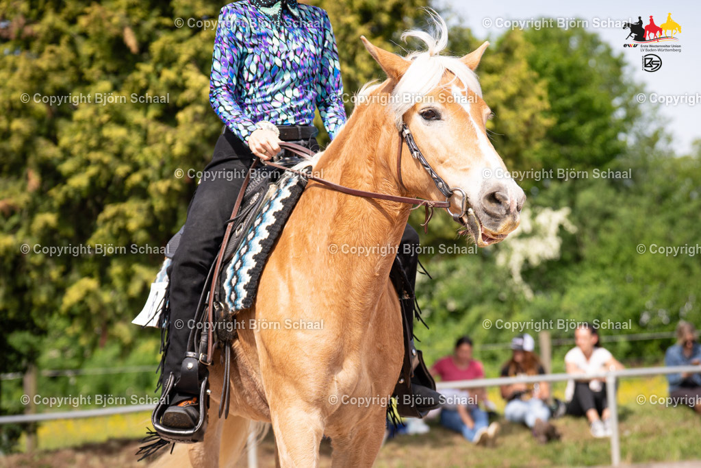 LMB09062 | BS-foto
