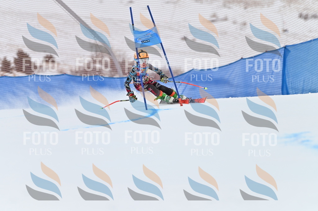 BGV_9790 | holidayphoto