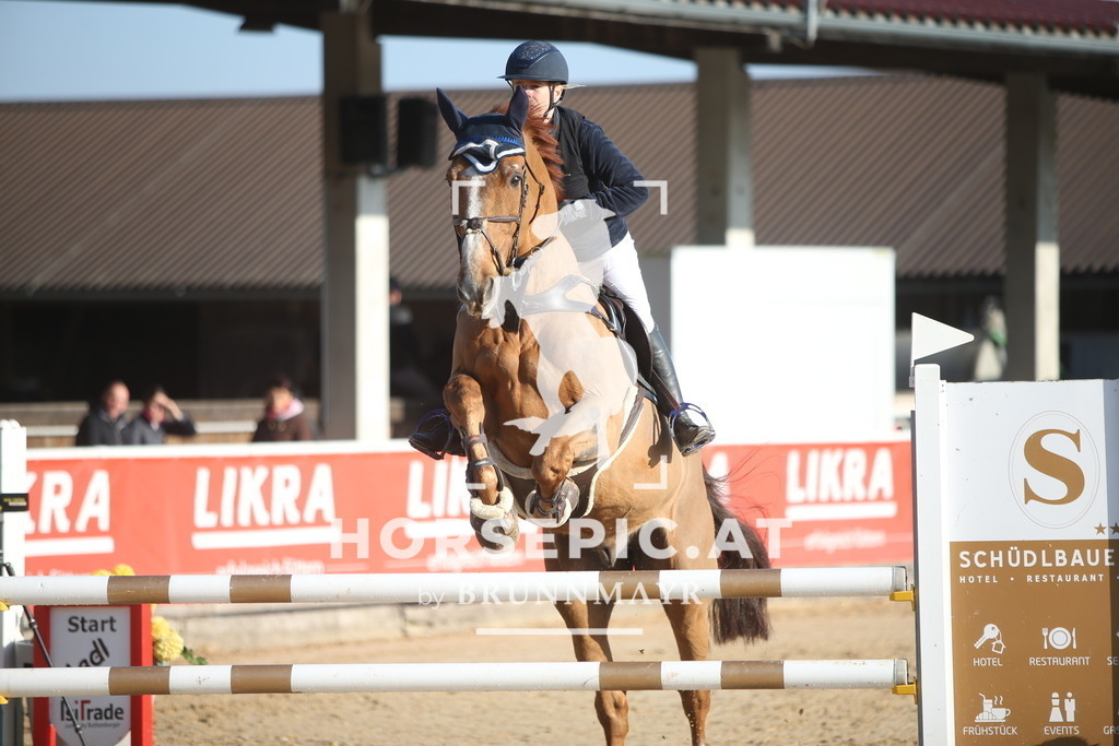 AS8V4747 | Willkommen bei Brunnmayr - Design & Fotografie – Ihrem Spezialisten für Reitturniere und Pferdeveranstaltungen in Oberösterreich, Salzburg und Bayern! Seit über 17 Jahren sind wir leidenschaftlich dabei.