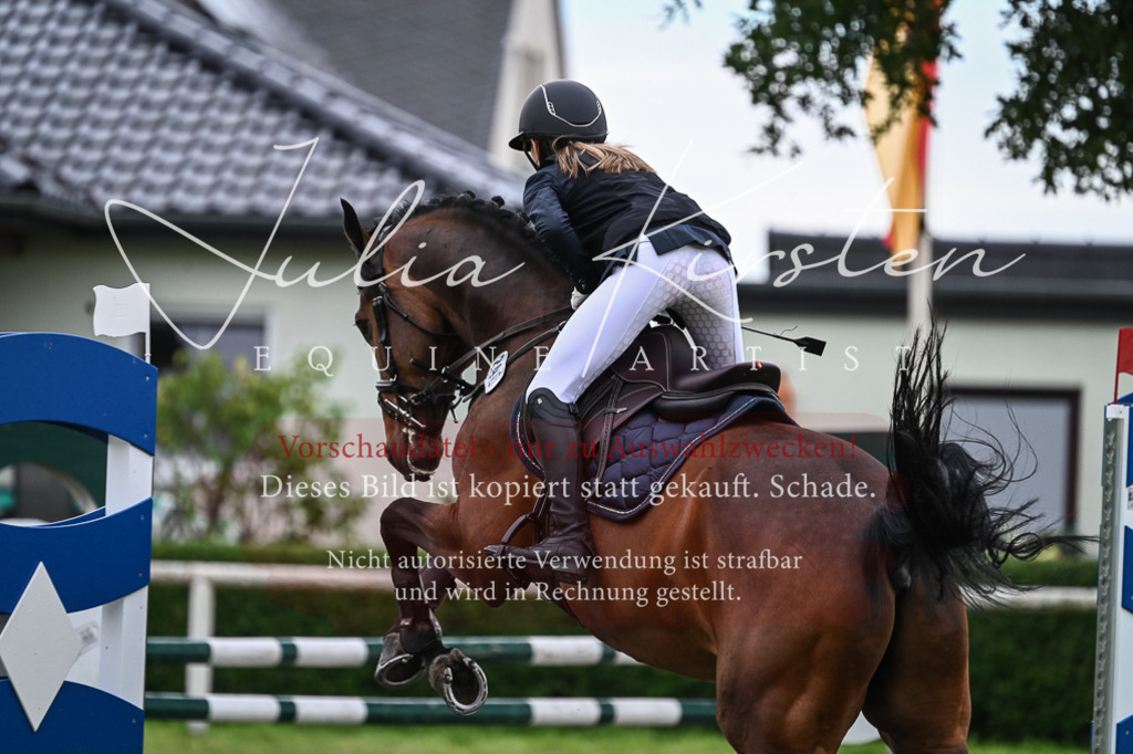 DSC_8476 | Pferde- und Turnierfotografie in Westsachsen. Pferdeportraits, Auftragszeichnungen und intuitive Kunst.