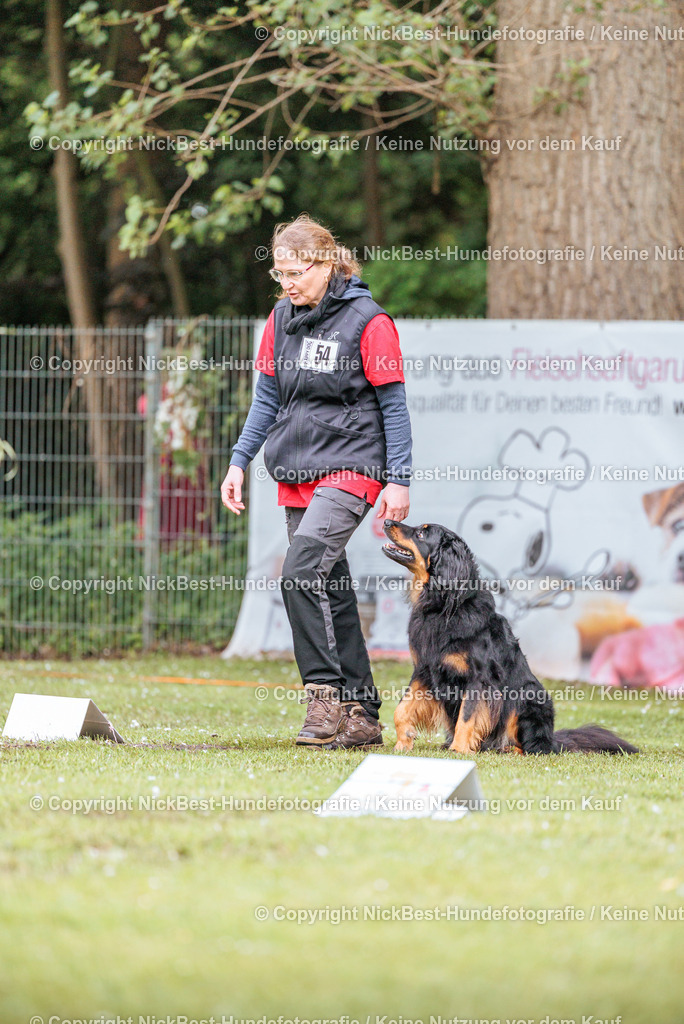 RO-Blumenthal-2026-Nickbest-Hundefotografie-0984 | Dein Hund! Dein Moment! Deine Erinnerungen! Hundefotografie in Bremen Blumenthal. Ich fange die besonderen Momente deines Vierbeiners ein – ob Indoor mit Blitzanlage oder in der freien Natur. Sicher dir dein Moment und dein Termin für eure Erinnerungen.