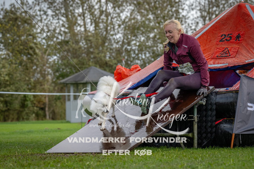 1217-93171 | kk-dogfotos