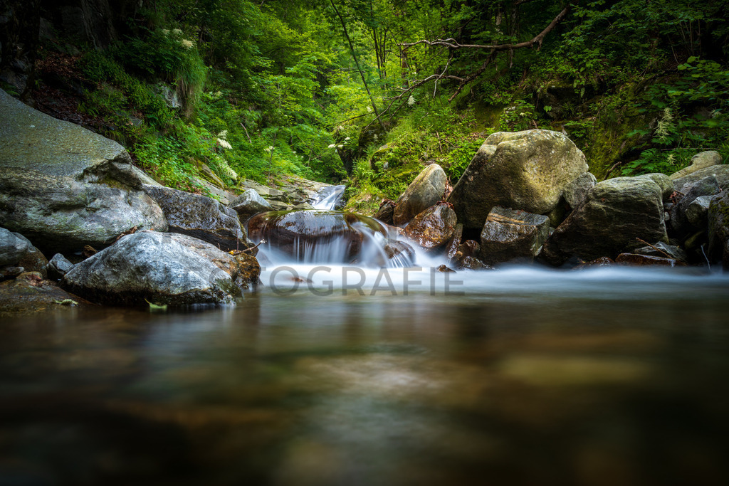 DSC08448 | Tinu Müller Fotografie- Bildershop - Realisiert mit Pictrs.com