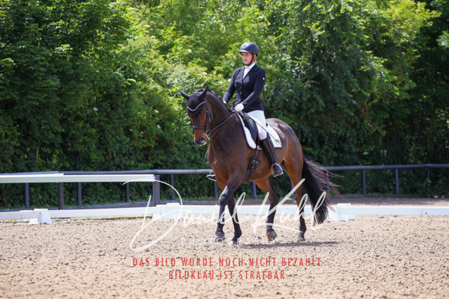 DKP40994 | Turnierfotos kaufen im Webshop von Daniel Kuhl Photography – entdecke professionelle Reitsportfotos aus Turnieren & Events. Hochwertige Turnierbilder online bestellen & sichern. Jetzt Fotos von Reitsportturnieren kaufen!