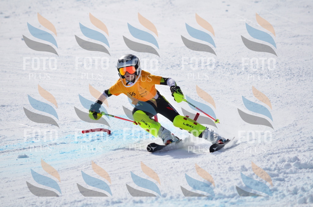 C9820 | holidayphoto