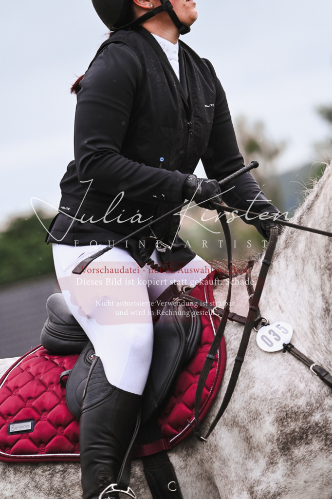 DSC_6370 | Pferde- und Turnierfotografie in Westsachsen. Pferdeportraits, Auftragszeichnungen und intuitive Kunst.