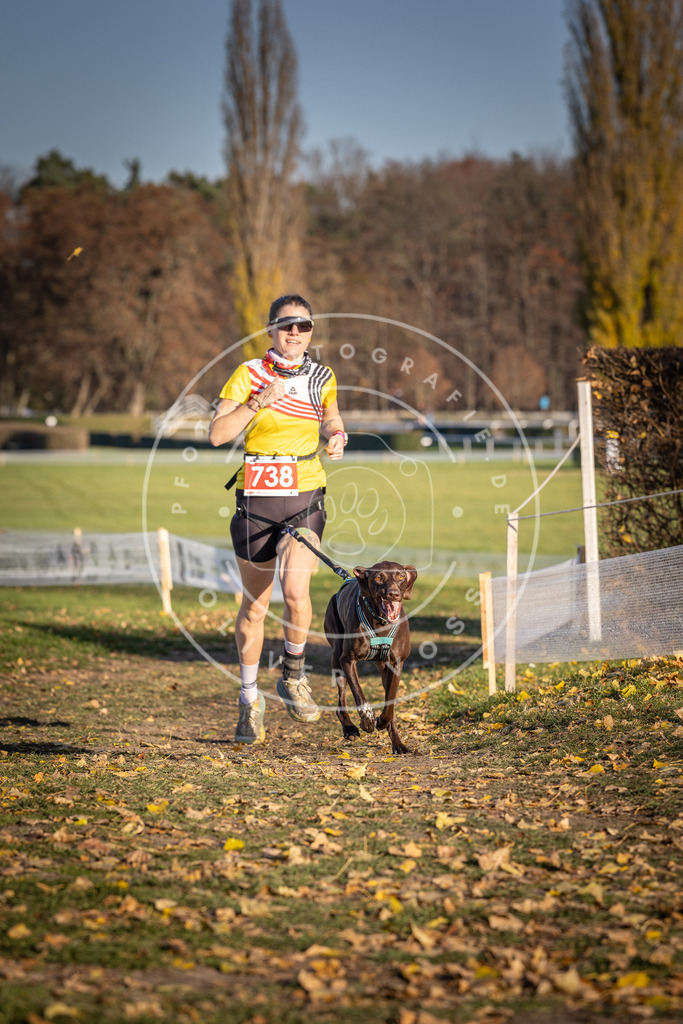 CaniXpix_DV3A2179 | Hundefotografie, Tierfotograf, Pfotenfotografie, Fotoshooting Hund, Hunde Portrait, Hundesport, Hundeportraits, Heideshooting, Hunde, Sportfotograf, Hundefotograf, Turnierhundsport, THS,  - Realisiert mit Pictrs.com
