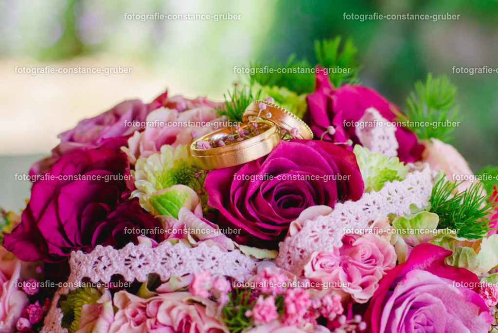 1012 | Fotografie Constance Gruber - Realisiert mit Pictrs.com