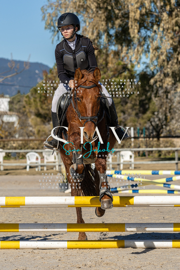 IMG_8218 | s-jay-photography - Realisiert mit Pictrs.com