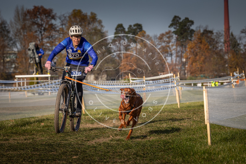 CaniXpix_0L8A7787 | Hundefotografie, Tierfotograf, Pfotenfotografie, Fotoshooting Hund, Hunde Portrait, Hundesport, Hundeportraits, Heideshooting, Hunde, Sportfotograf, Hundefotograf, Turnierhundsport, THS,  - Realisiert mit Pictrs.com