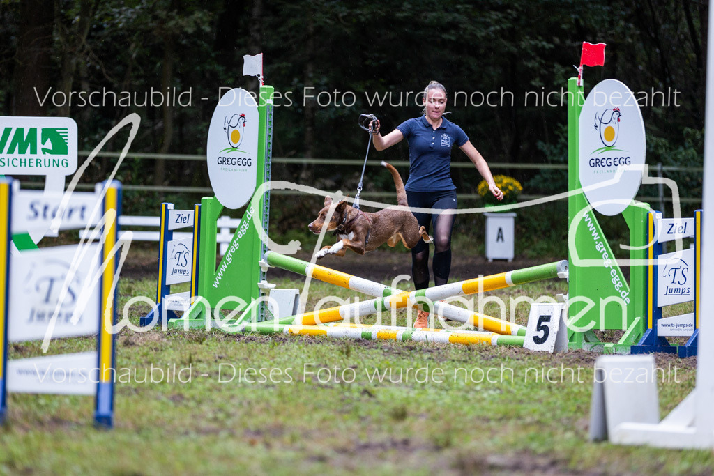 HB-JaD-032 | MomenTaufnahmen Pferdesportfotos