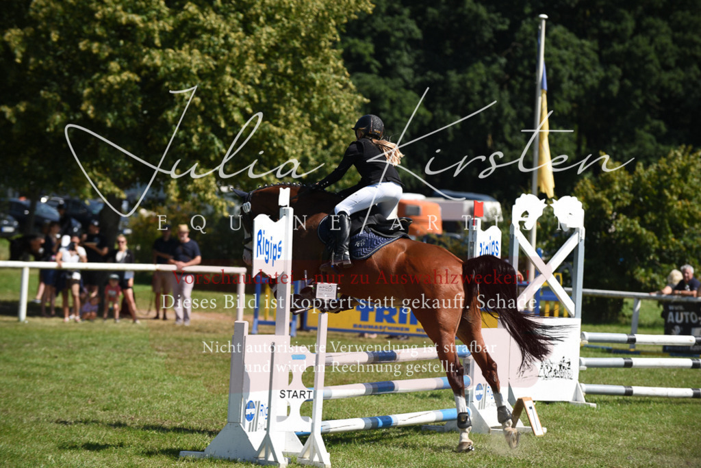 DSC_9614 | Pferde- und Turnierfotografie in Westsachsen. Pferdeportraits, Auftragszeichnungen und intuitive Kunst.