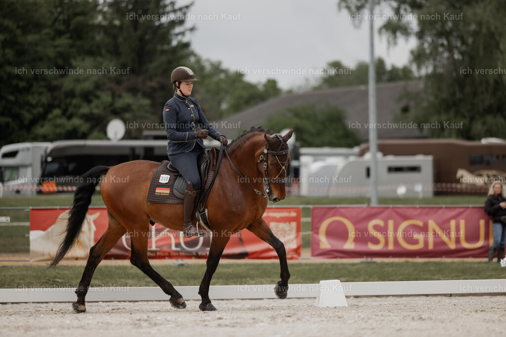 WE_DR_Stoib_340_ _PI2025_108 | Pferd International München 2025