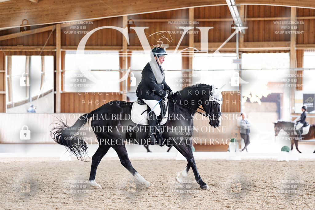 CK901186 | Turnierfotografie Pferdefotografie Trier Rheinland-Pfalz Pferdesport Reitsport Tierfotografie Sportfotografie Pferdevideo Pferdevideografie Equestrianvideography equestrianphotography  - Realized with Pictrs.com