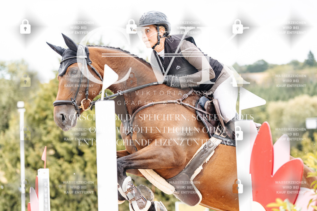 CK909655 | Turnierfotografie Pferdefotografie Trier Rheinland-Pfalz Pferdesport Reitsport Tierfotografie Sportfotografie Pferdevideo Pferdevideografie Equestrianvideography equestrianphotography  - Realisiert mit Pictrs.com