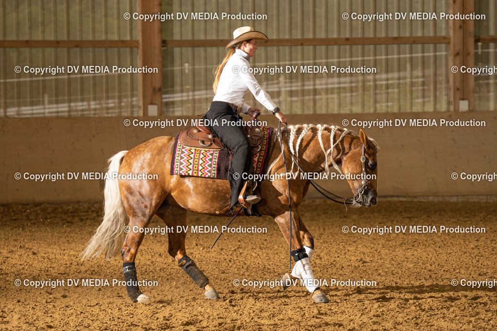 LAU00972 | dv-media-shop - Realisiert mit Pictrs.com