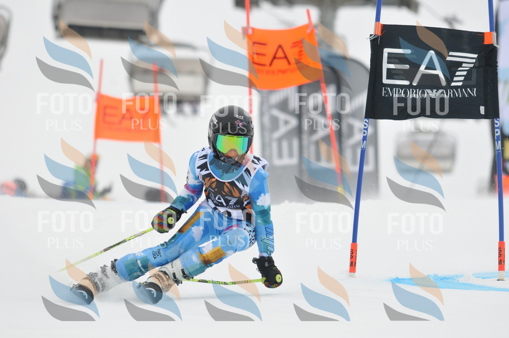 DSC_7803 | holidayphoto