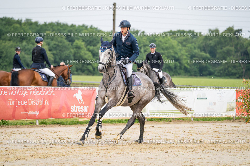 DSC09240 | Pferdegrafie