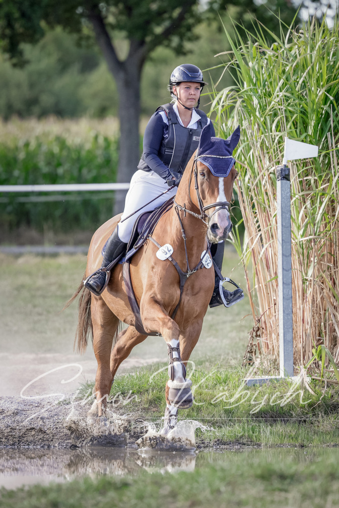 20250906-_3LI7438 | Tierfotografie Pferde, Hunde, Katzen, Haustiere.
Turnierfotografie Reitturniere, Reiten, Springreiten, Dressur in Hanau, dem Main-Kinzig-Kreis und dem Rhein-Main- Gebiet um Frankfurt
