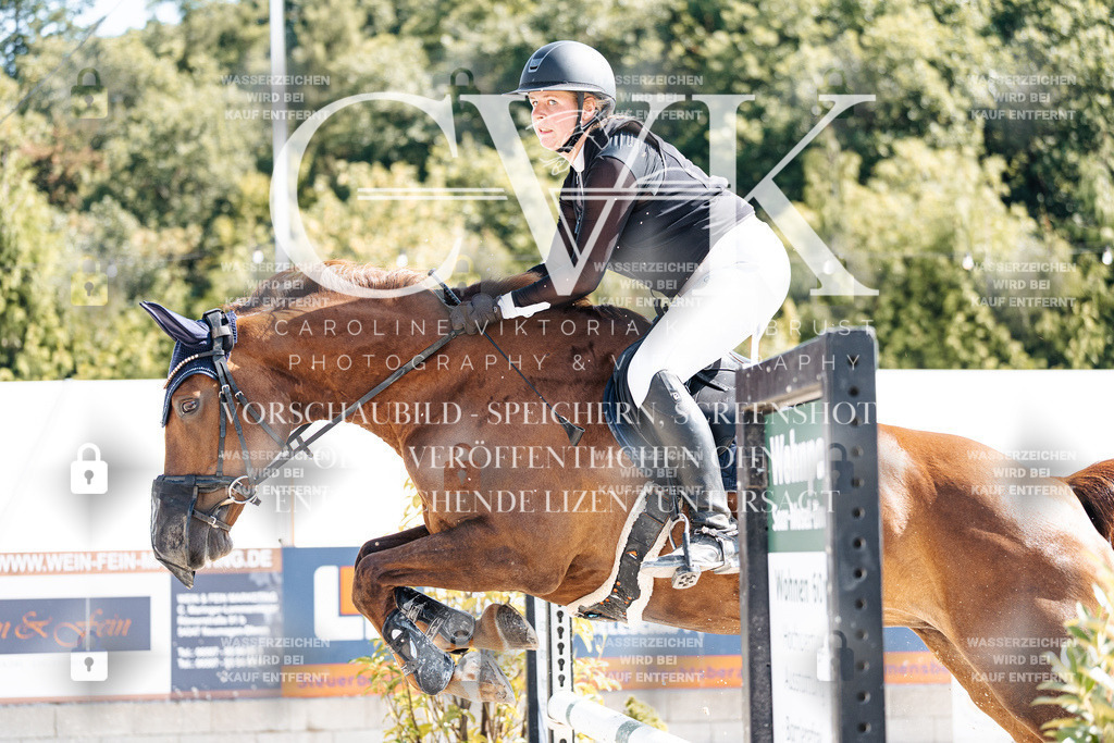 CK908483 | Turnierfotografie Pferdefotografie Trier Rheinland-Pfalz Pferdesport Reitsport Tierfotografie Sportfotografie Pferdevideo Pferdevideografie Equestrianvideography equestrianphotography  - Realisiert mit Pictrs.com