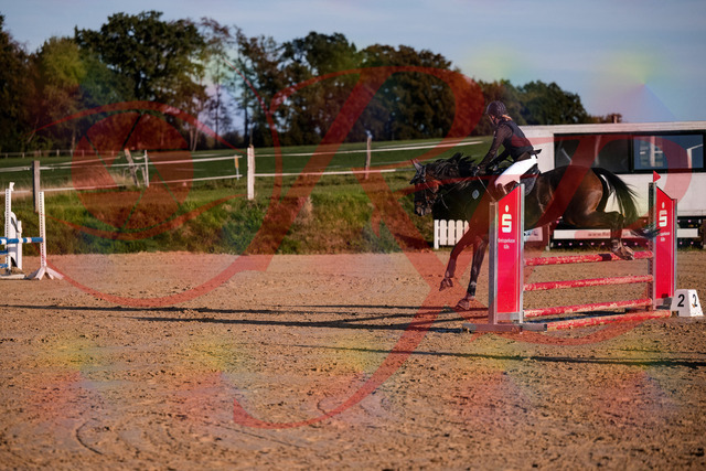 2026_10_03_Siefer-Hof_171851_Z81_16708610 | Professionelle Reitsport-, Turnier- und Eventfotografie von Robert Broda. Galerien mit ausgewählten und bearbeiteten Bildern direkt online ansehen und bestellen.