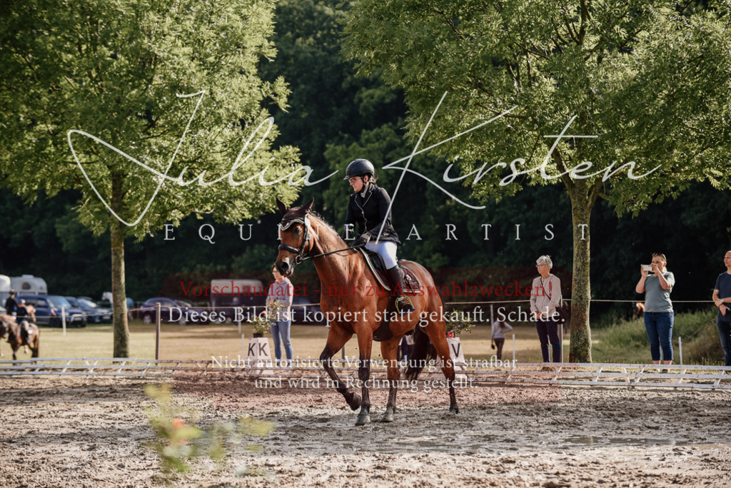 DSC_8498 | Pferde- und Turnierfotografie in Westsachsen. Pferdeportraits, Auftragszeichnungen und intuitive Kunst.