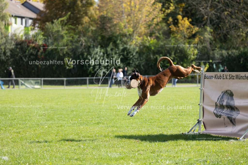 _16A6948 | Einzigartige Fotos von Hunden & Menschen –Actionfotos, Portraits, Vereinsaufnahmen & Paarshootings – authentisch, lebendig & mit Herz.