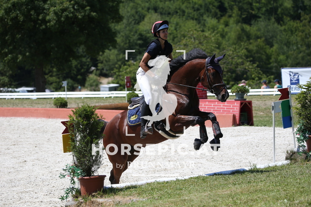 DL2Q0958 | Willkommen bei Brunnmayr - Design & Fotografie – Ihrem Spezialisten für Reitturniere und Pferdeveranstaltungen in Oberösterreich, Salzburg und Bayern! Seit über 17 Jahren sind wir leidenschaftlich dabei.