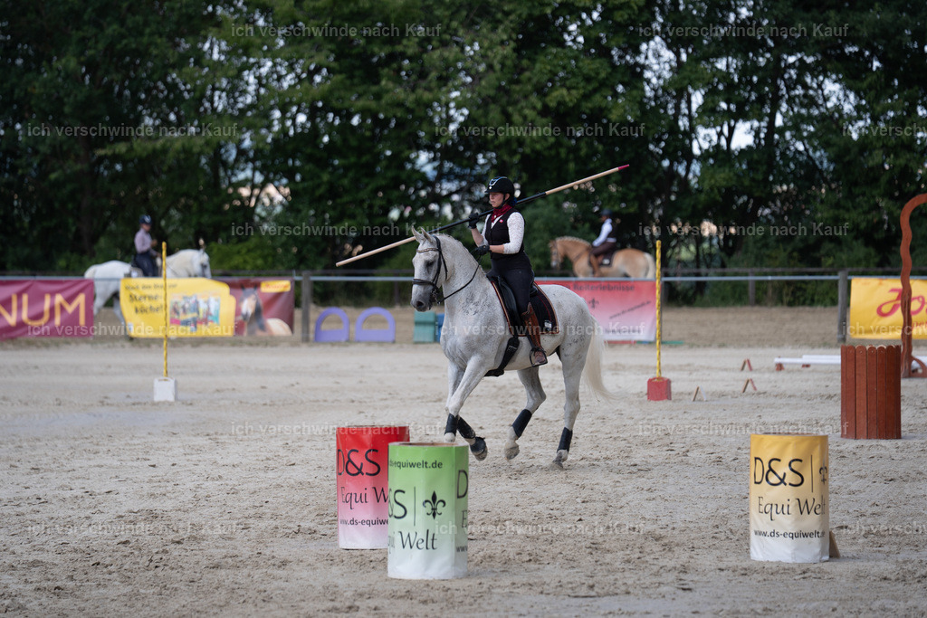 WS_SP_63_SinaFilmArt_IN08311 | working equitationturnier fotograf videograf stoibphotography marixx film working equitation deutschland reitsport turnierfotografie eventfotografie equestrian events